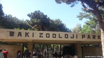 Yeni zoopark nə vaxta qaldı?