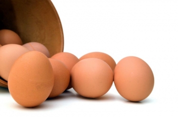 Türkiyə yumurtadan kağız istehsalına başlayacaq