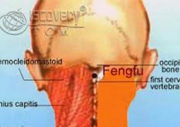 Bədəndəki Fenq Fu nöqtəsinin faydası