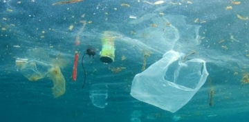 2050-ci ildə dünya okeanında plastik tullantıların miqdarı balıq sayından daha çox olacaq - PROQNOZ