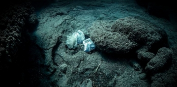 Dünyanın ən dərin nöqtəsindən plastik tullantı çıxdı -VİDEO