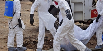 Konqoda 1 ildə 1506 nəfər ‘Ebola’ virusundan ölüb 