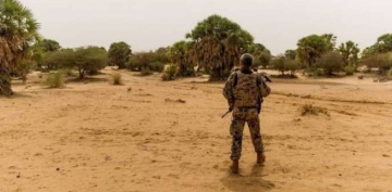 Malidə silahlı hücum zamanı 53 əsgər öldürülüb 