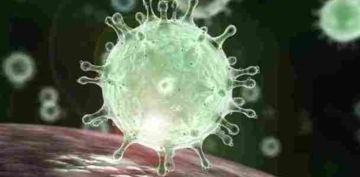 Koronavirusun yeni əlamətləri müəyyənləşdi