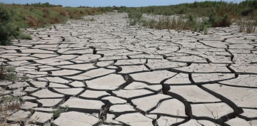 Coğrafiya İnstitutu: Builki quraqlıq Aran rayonlarında su ehtiyatının azalmasına səbəb olacaq