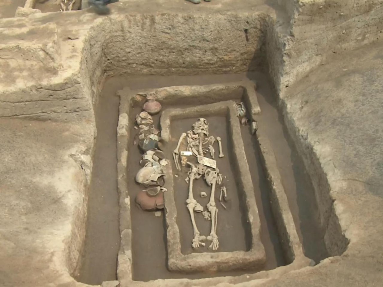 Çində nəhəng skelet kəşf edilib 