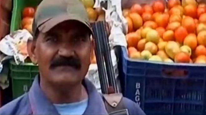 Hindistanda qiyməti iki qata qalxan pomidora silahlı mühafizəçi