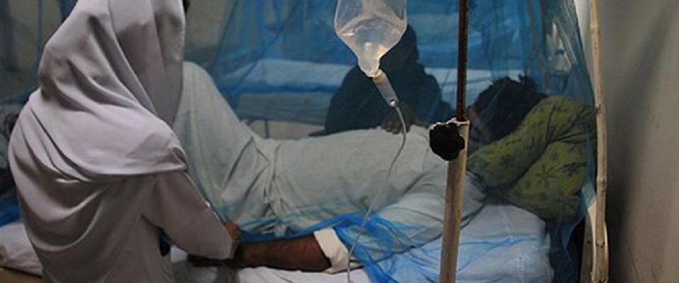Hindistanda ölümcül epidemiya yayılır - Peyvəndi yoxdur