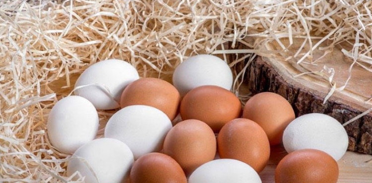 Nəyə görə aprel ayında saxta və keyfiyyətsiz yumurtalar çoxalır - Ekspertdən xəbərdarlıq  (VİDEO)