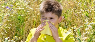 Allergik rinitin yaranma səbəbi nədir?