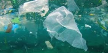 100 milyon tondan artıq  plastik tullatnı ocean sularına qarışıb