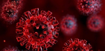 Koronavirusun yoluxma müddəti açıqlandı