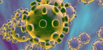 Koronavirusa qarşı yeni dərmanlar tapılıb